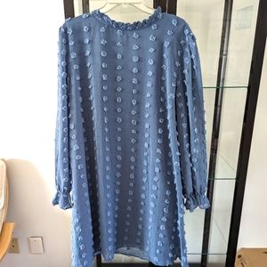 XXL Shift Dress Worn Once!